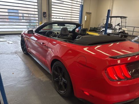Used 2019 Ford Mustang GT Premium w/ Ford Safe & Smart Package RWD image 6