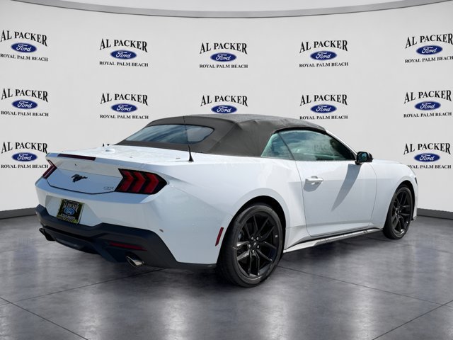New 2026 Ford Mustang Convertible w/ Mustang Nite Pony Package RWD image 7