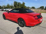 Used 2018 Ford Mustang Premium w/ Equipment Group 201A image 2