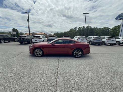 Used 2015 Ford Mustang Premium w/ Equipment Group 201A RWD image 2