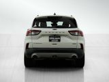 Used 2020 Ford Escape Titanium image 4