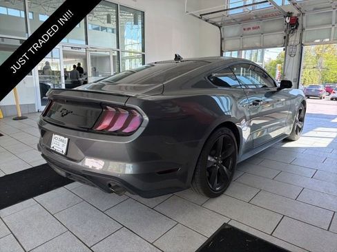 Used 2023 Ford Mustang Premium w/ Equipment Group 201A RWD image 3