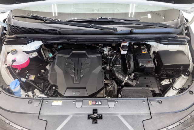 Used 2025 Kia Carnival LX FWD image 3
