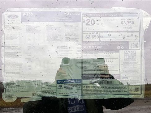 New 2025 Ford F150 XLT w/ Equipment Group 302A MID image 13