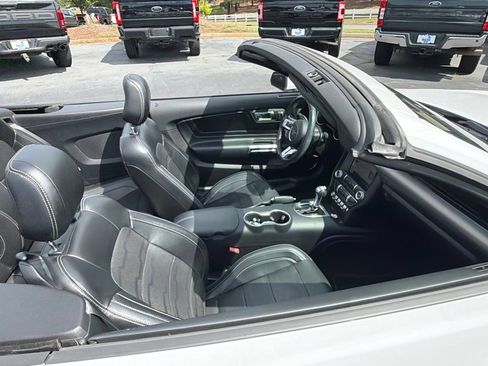 Used 2019 Ford Mustang Premium w/ Equipment Group 201A RWD image 11