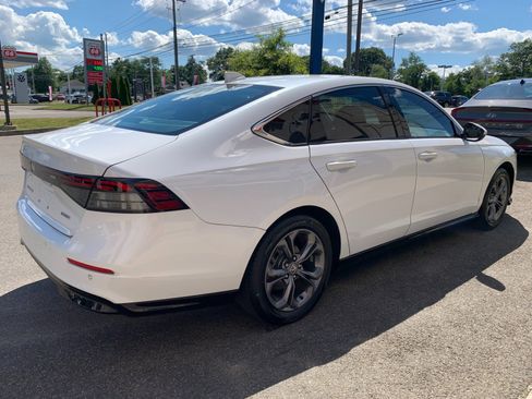 Used 2023 Honda Accord EX-L image 7
