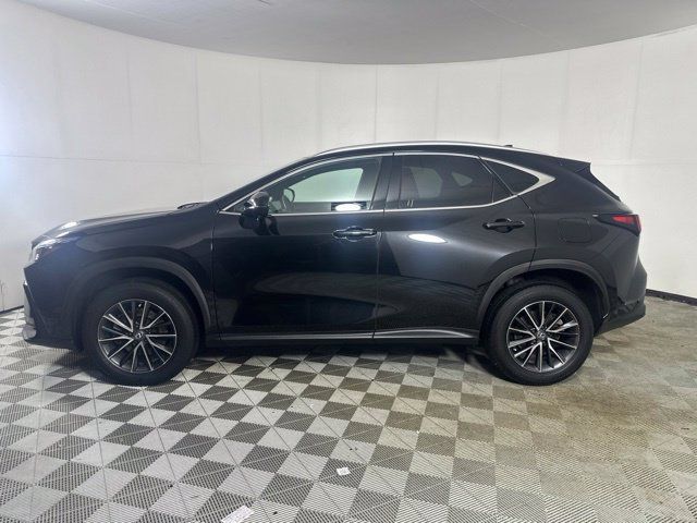 Used 2024 Lexus NX 350 AWD image 5