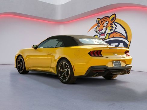 Used 2024 Ford Mustang Premium RWD image 7
