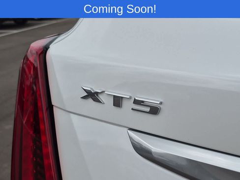 Used 2023 Cadillac XT5 Premium Luxury AWD/4WD image 12