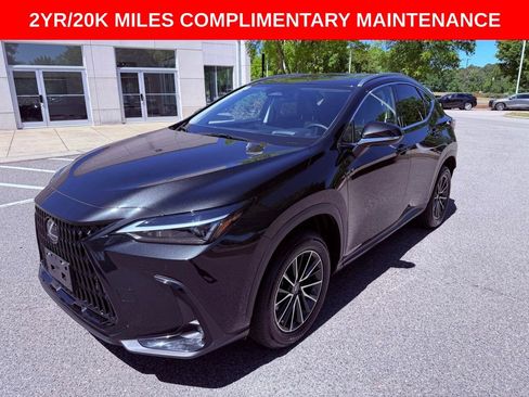 Used 2025 Lexus NX 350h AWD w/ Premium Package image 3
