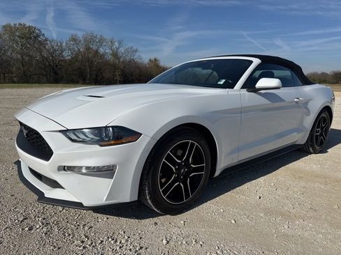 Used 2023 Ford Mustang Premium image 1