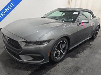 Used 2025 Ford Mustang Premium RWD video 1