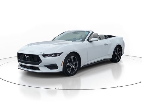 Certified 2025 Ford Mustang Premium image 2