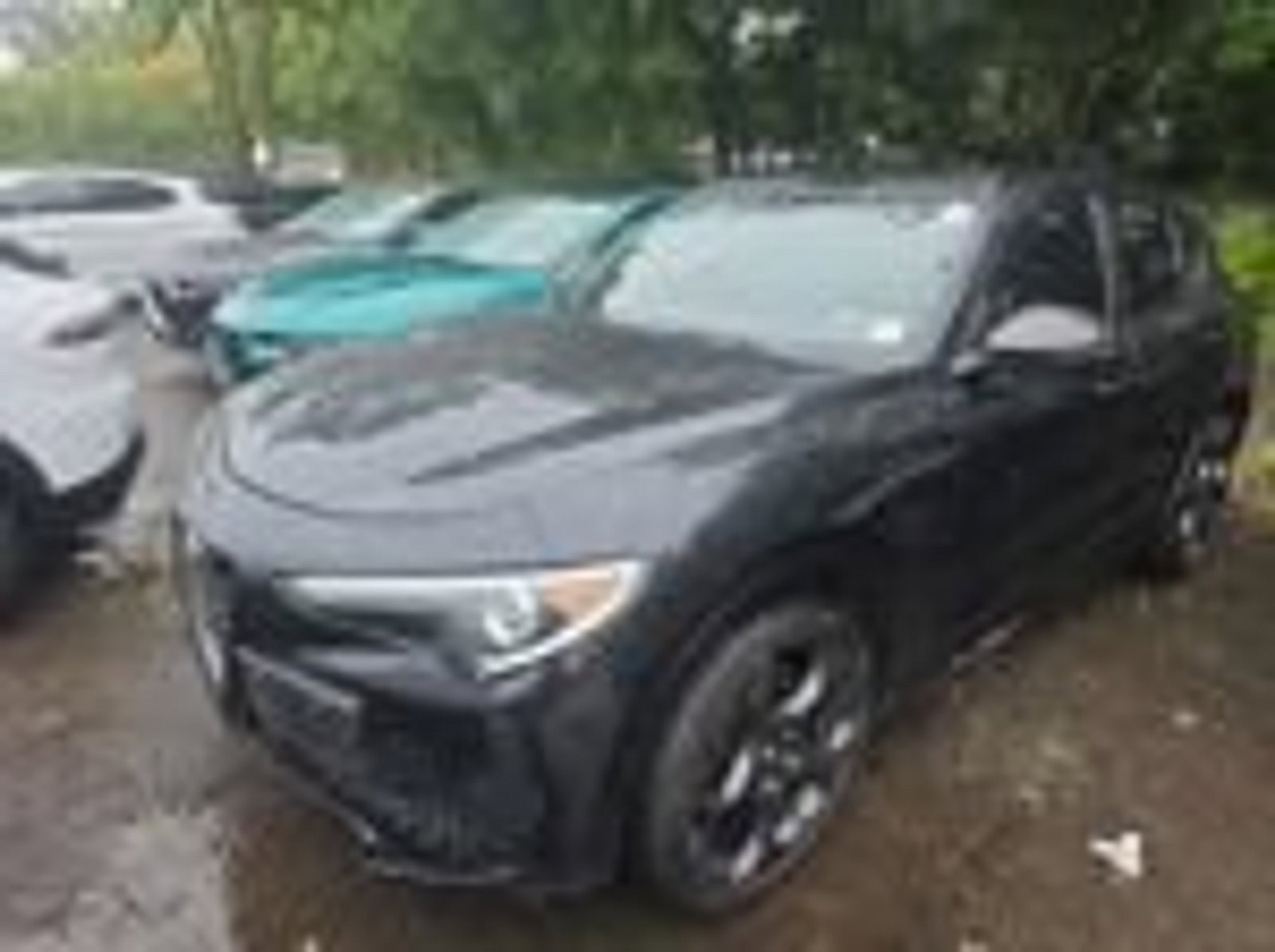 Used 2023 Alfa Romeo Stelvio Estrema AWD/4WD image 6