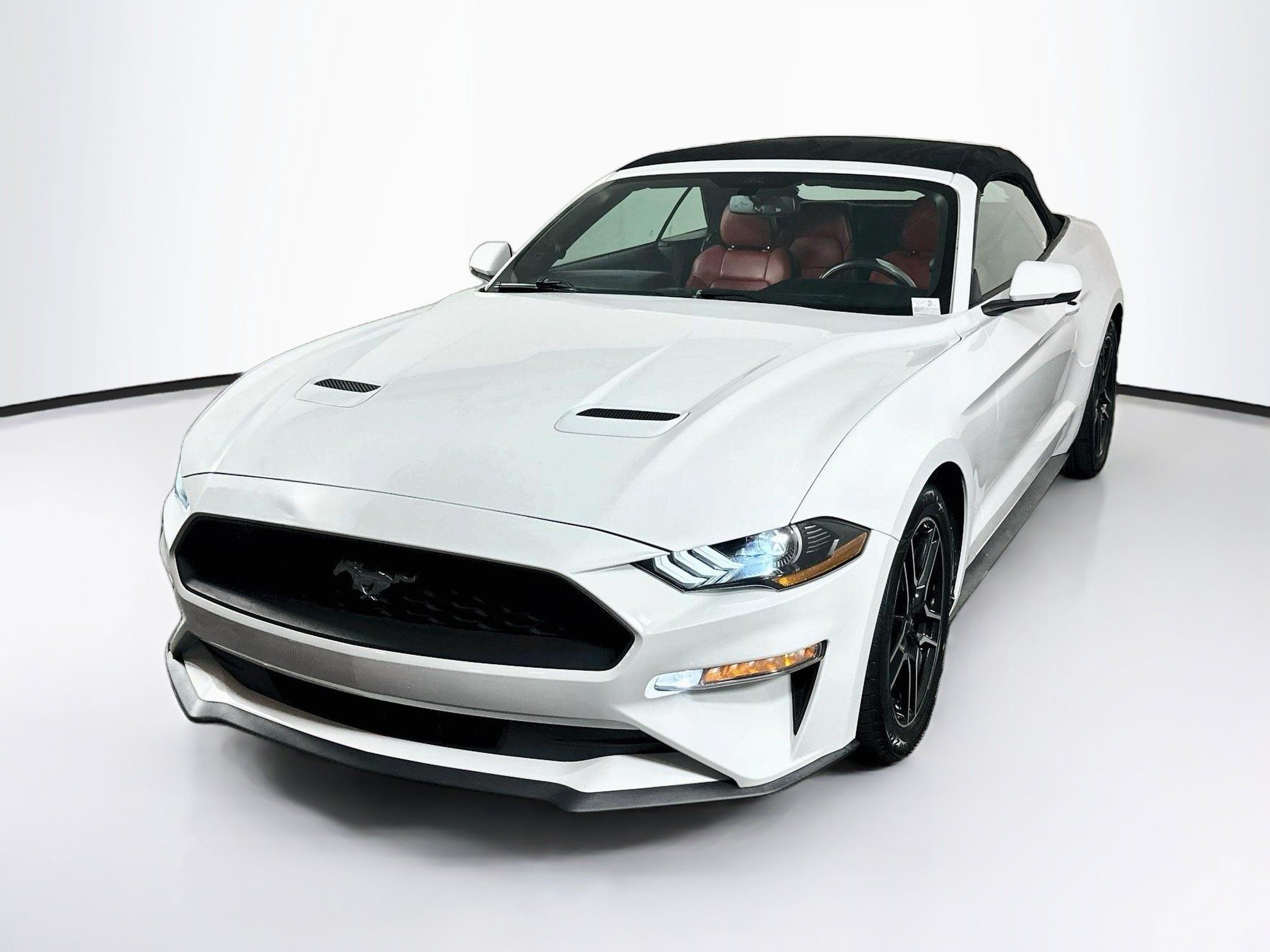 Used 2018 Ford Mustang Premium w/ Equipment Group 201A RWD image 3