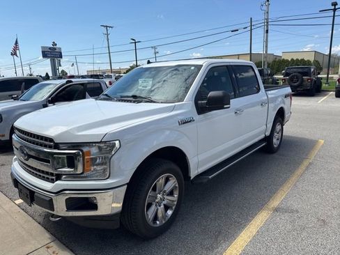 Used 2019 Ford F150 XLT w/ Equipment Group 302A Luxury AWD/4WD image 12