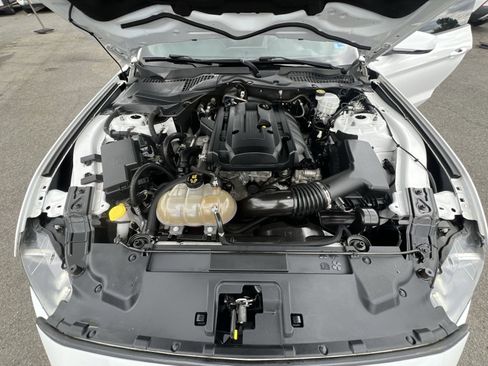 Certified 2019 Ford Mustang Premium w/ Equipment Group 201A RWD image 35