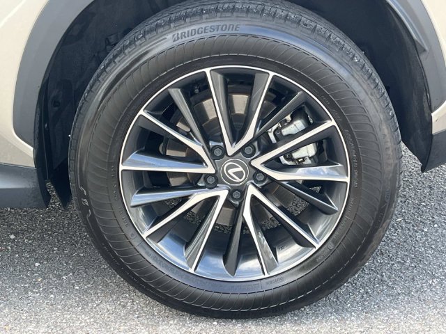 Used 2024 Lexus NX 250 FWD w/ Cold Area Package image 11