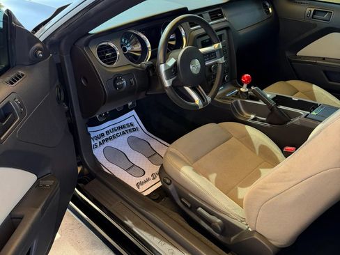 Used 2014 Ford Mustang GT w/ Equipment Group 301A RWD image 9