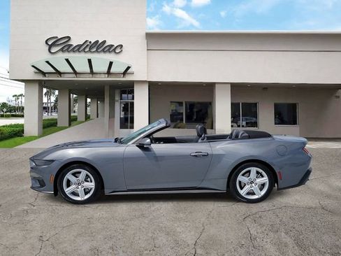 Used 2026 Ford Mustang Premium RWD image 2