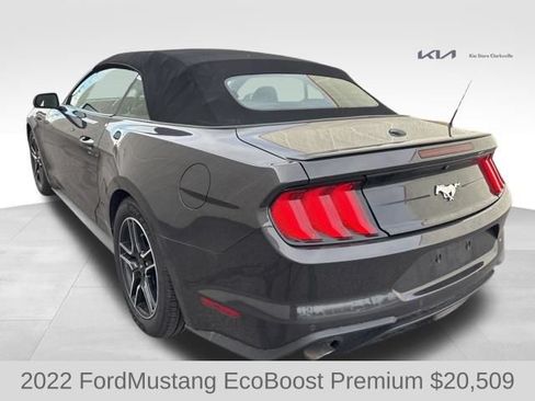 Used 2022 Ford Mustang Premium RWD image 6