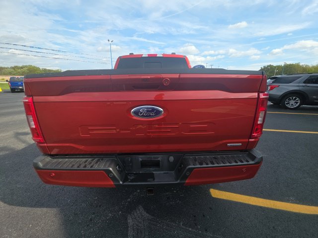 Used 2023 Ford F150 XLT w/ Equipment Group 302A High AWD/4WD image 8