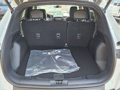 New 2026 Ford Escape ST-Line w/ Tech Pack #1 image 13