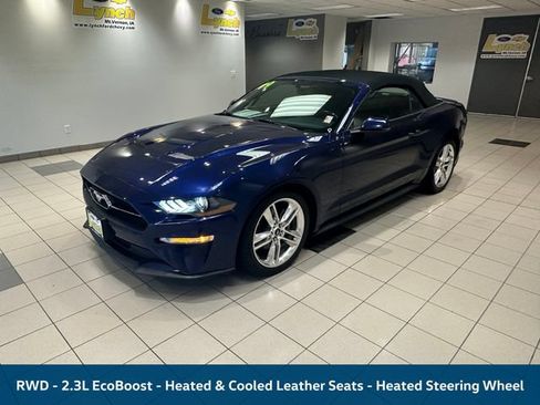 Used 2019 Ford Mustang Premium w/ Equipment Group 201A RWD image 2