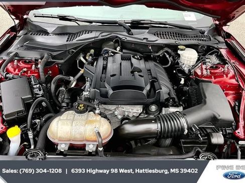 Used 2019 Ford Mustang Coupe w/ Equipment Group 101A image 8