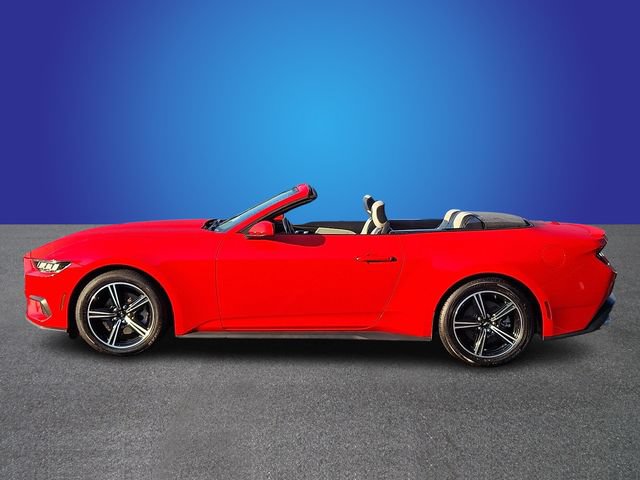 Used 2024 Ford Mustang Premium RWD image 7