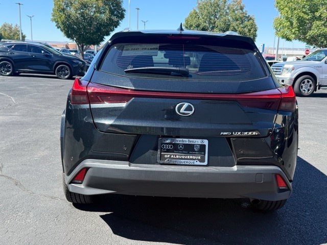 Used 2025 Lexus UX 300h AWD w/ Cold Area Package image 6