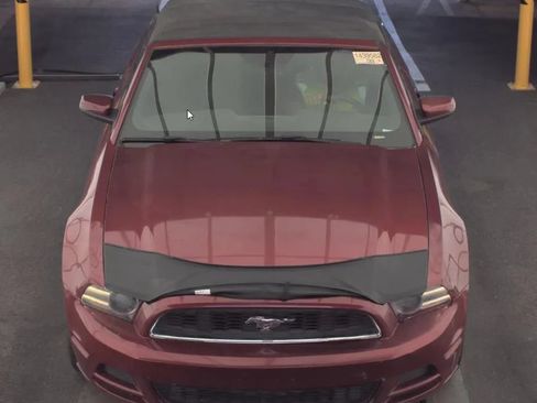 Used 2014 Ford Mustang Premium w/ Equipment Group 201A RWD image 2