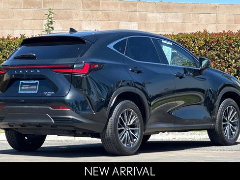 Certified 2025 Lexus NX 350h AWD w/ Cold Area Package image 4