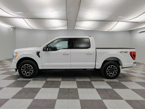 Used 2023 Ford F150 XLT w/ Equipment Group 302A High AWD/4WD image 8