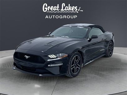 Used 2018 Ford Mustang Premium w/ Equipment Group 201A