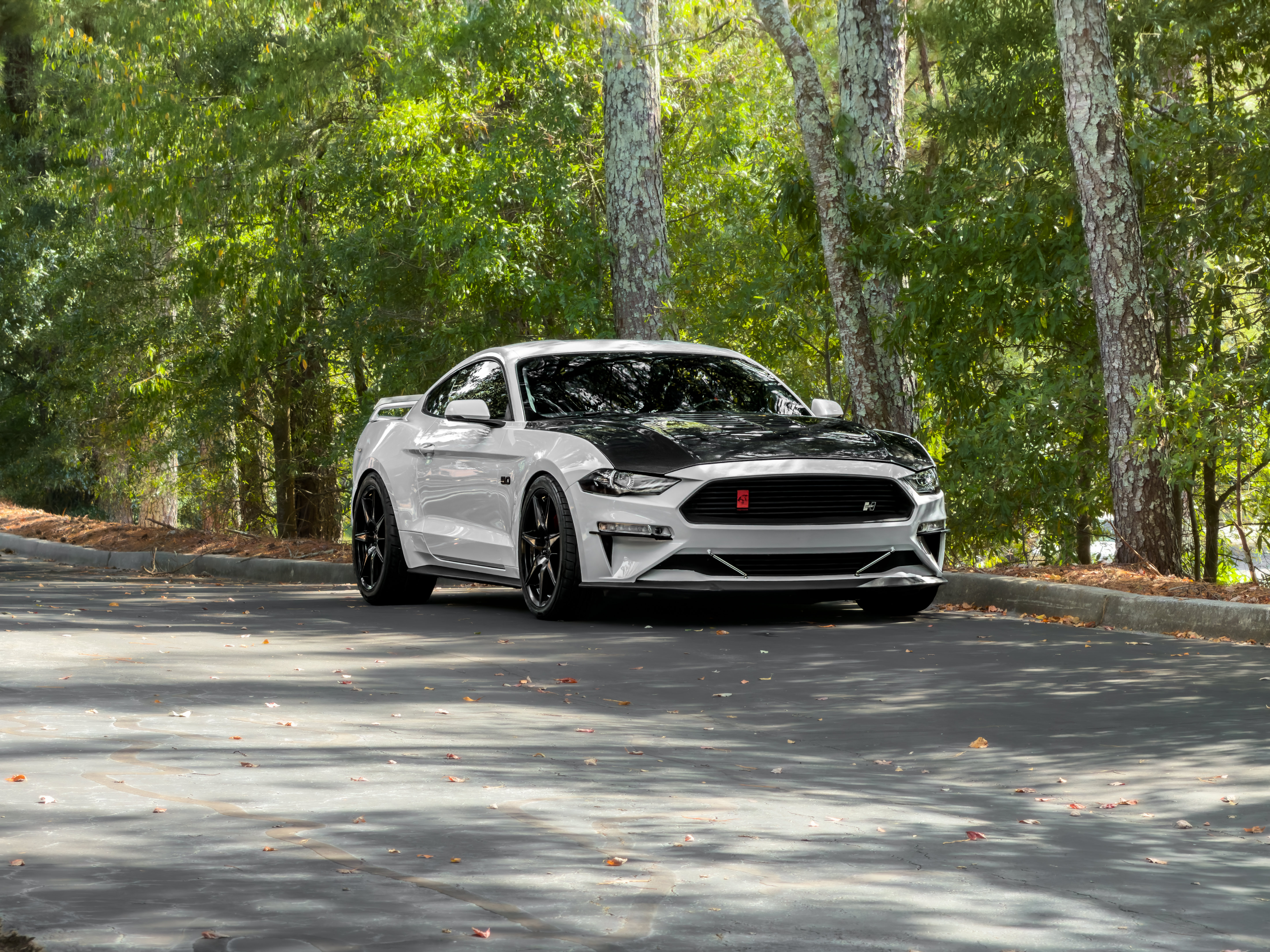 Used 2019 Ford Mustang GT Premium w/ GT Performance Package RWD image 39