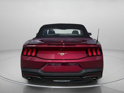 New 2025 Ford Mustang Premium