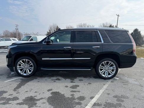 Used 2019 Cadillac Escalade Luxury w/ LPO, Radiant Package image 2