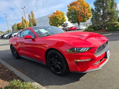 Used 2019 Ford Mustang Premium w/ Equipment Group 201A