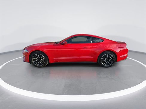 Used 2019 Ford Mustang Premium w/ Equipment Group 101A image 5