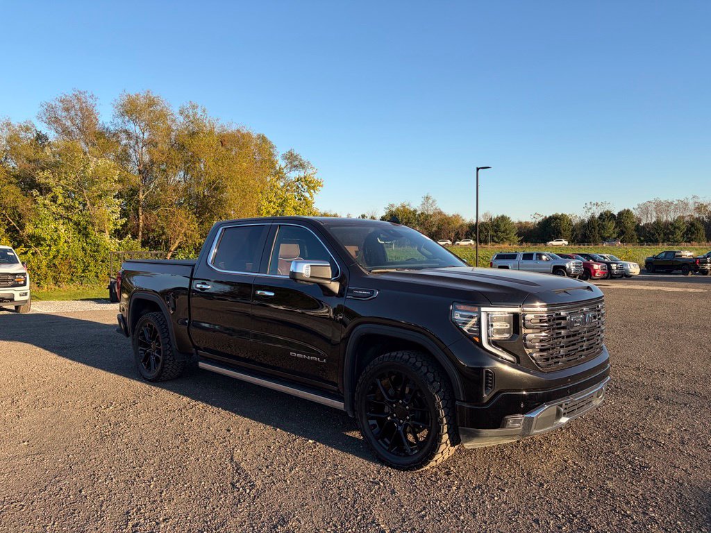 Used 2025 GMC Sierra 1500 Denali Ultimate AWD/4WD image 16