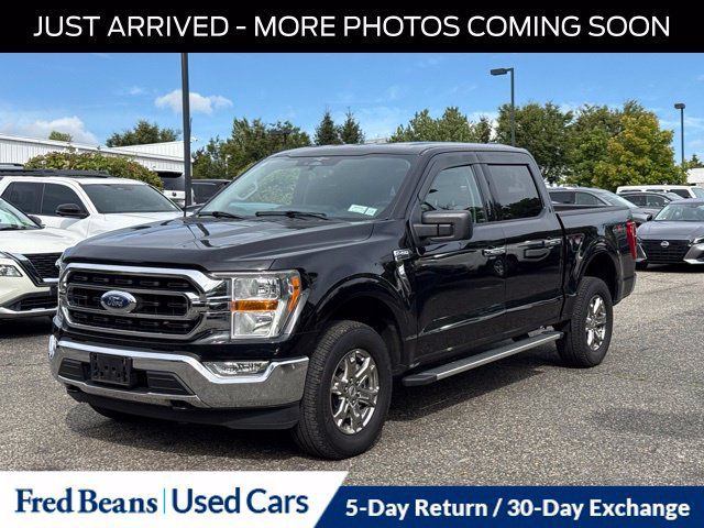 Used 2023 Ford F150 XLT w/ Equipment Group 301A Mid AWD/4WD image 3