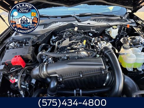 New 2026 Ford Mustang Coupe image 20