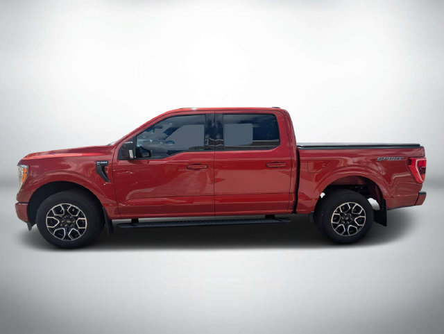 Used 2023 Ford F150 XLT w/ Equipment Group 302A High RWD image 7