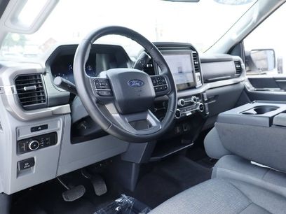 Used 2025 Ford F150 XLT w/ Equipment Group 301A Standard