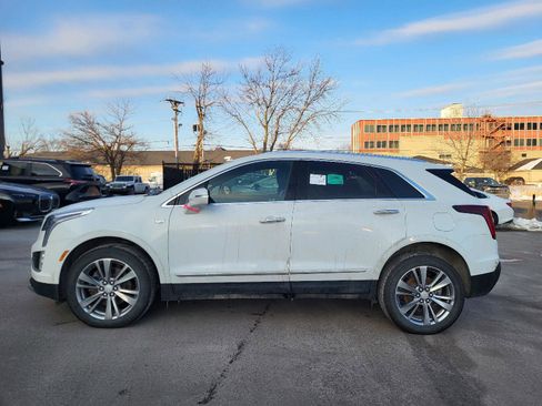 Used 2024 Cadillac XT5 Premium Luxury image 6