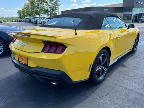 Used 2024 Ford Mustang Premium RWD image 3