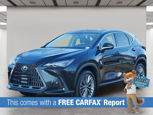 Used 2022 Lexus NX 350h 350h Luxury w/ Vision Package image 2