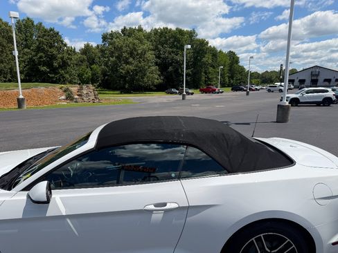Used 2018 Ford Mustang Premium RWD image 12