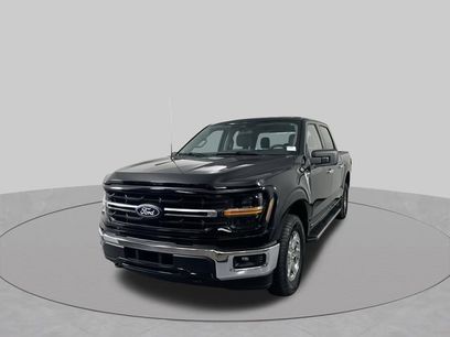 Used 2025 Ford F150 XLT w/ Equipment Group 301A Standard